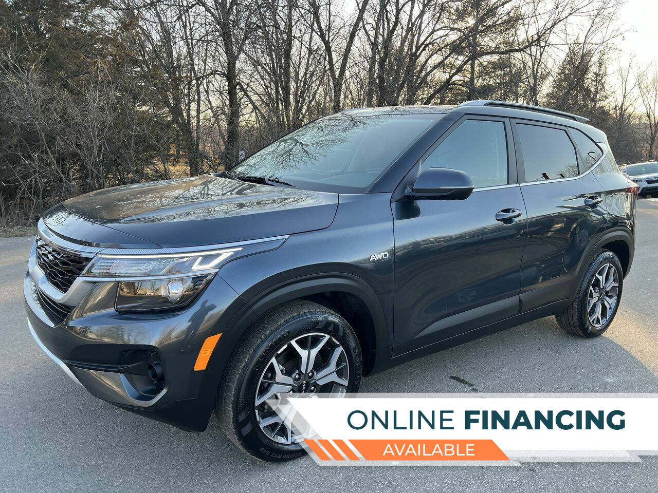 Kia Seltos For Sale In Saint Bonifacius, MN