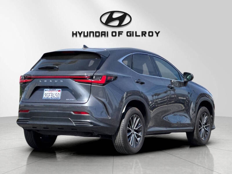 2024 Lexus NX 250 Premium