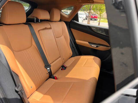 2024 Lexus NX 250 Premium