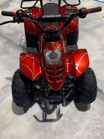 2019 Coolster Mountopz 110