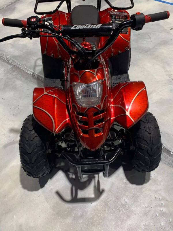 2019 Coolster Mountopz 110