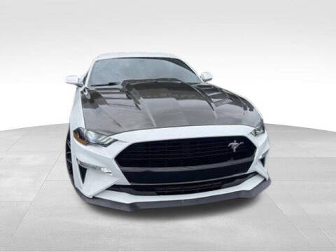 2019 Ford Mustang