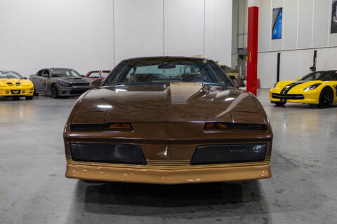 1984 Pontiac Firebird Trans Am
