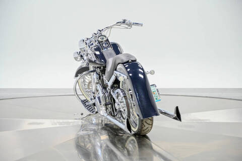 2009 Harley-Davidson FLTSN