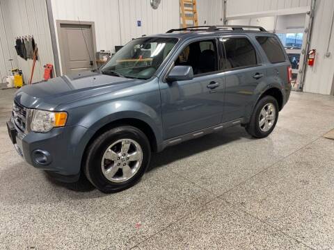 2011 Ford Escape for sale at Efkamp Auto Sales LLC in Des Moines IA