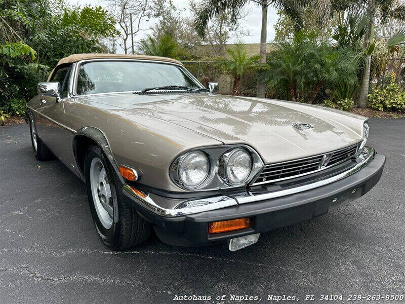 Classic Cars For Sale In Naples FL Carsforsale