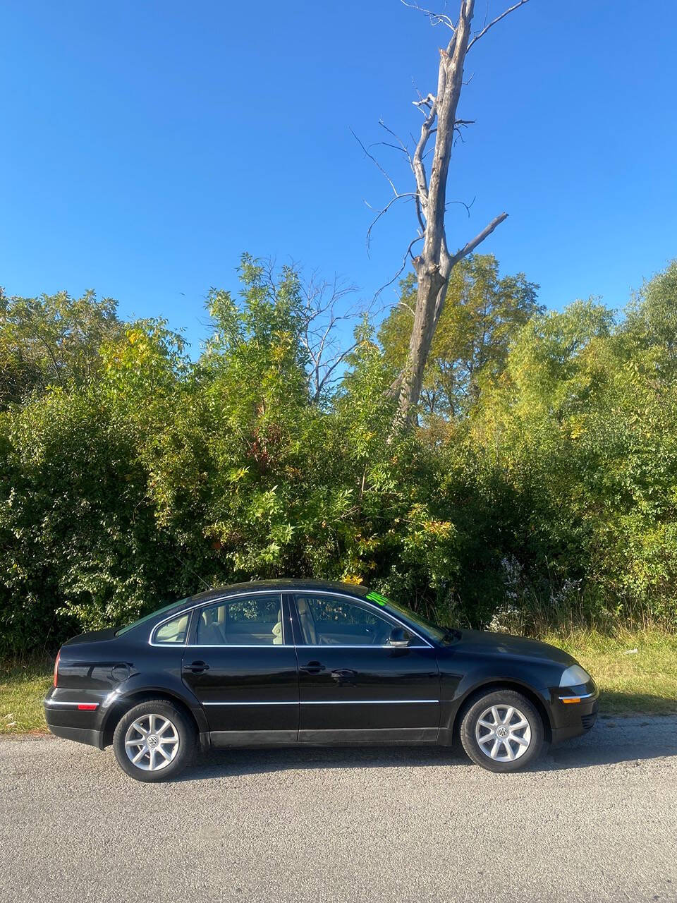 2004 Volkswagen Passat for sale at Endless auto in Blue Island, IL