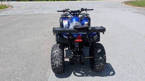 2025 TrailMaster 200 Utility