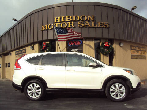 2014 Honda CR-V for sale at Hibdon Motor Sales in Clinton Township MI