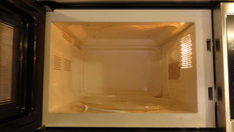 2017 Forest River Wolfpack