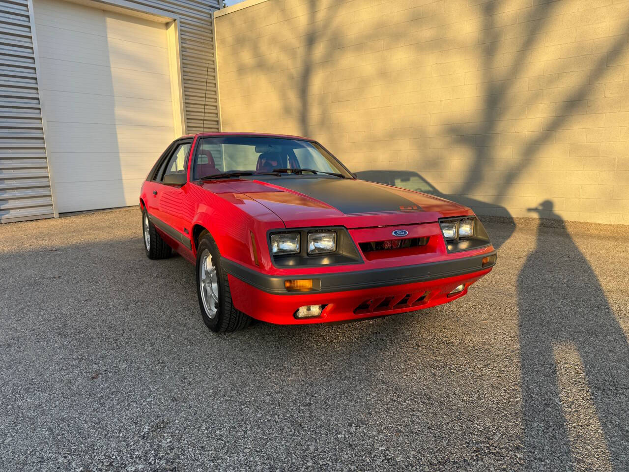 1986 Ford Mustang 4
