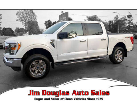 2021 Ford F-150 for sale at Jim Douglas Auto Sales in Pontiac MI