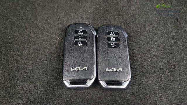 2024 Kia Niro EV Wave