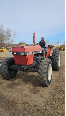 1985 Case IH 1594 Tractor