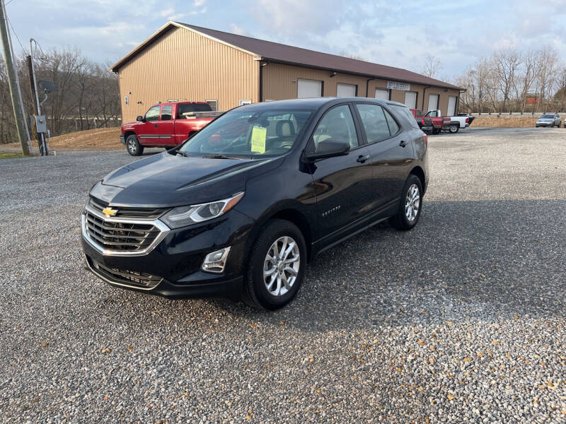 2020 Chevrolet Equinox for sale at Discount Auto Sales in Liberty KY