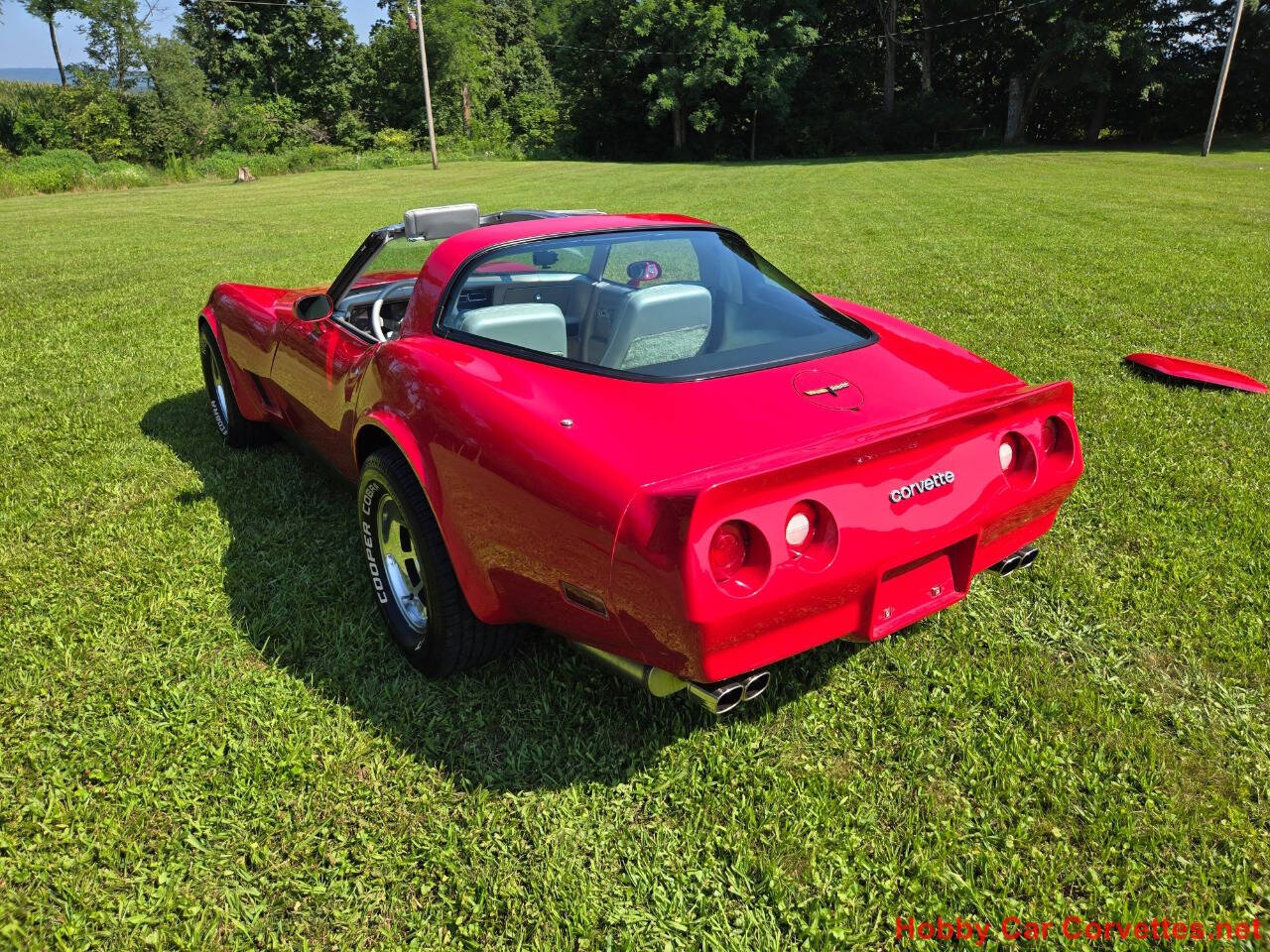 1981 Chevrolet Corvette 20