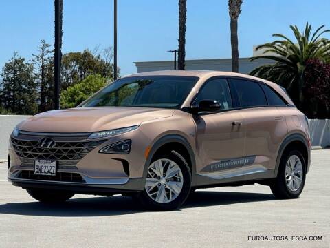 2021 Hyundai Nexo for sale at Euro Auto Sale in Santa Clara CA