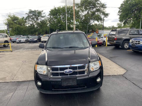 2011 Ford Escape XLT