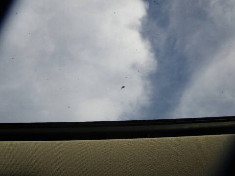 2009 Ford Flex Limited