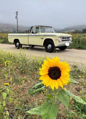1968 Dodge D200 Pickup