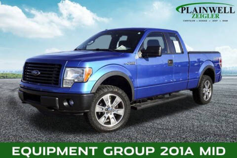 2014 Ford F-150 for sale at Zeigler Ford of Plainwell in Plainwell MI