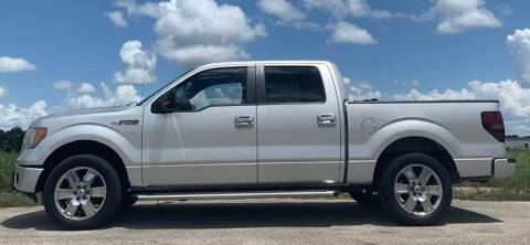 2011 Ford F-150 for sale at Palmer Auto Sales in Rosenberg TX