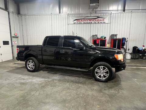 2014 Ford F-150 for sale at Murphy Wholesale LLC in Albertville AL