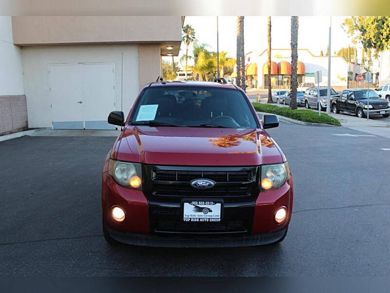 2010 Ford Escape XLT