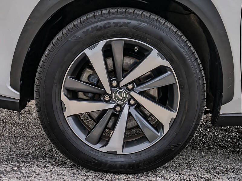 2019 Lexus NX 300h