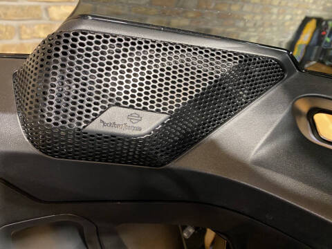 2023 Harley-Davidson Low Rider® ST
