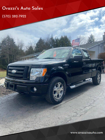 2009 Ford F-150 for sale at Orazzi's Auto Sales in Greenfield Township PA