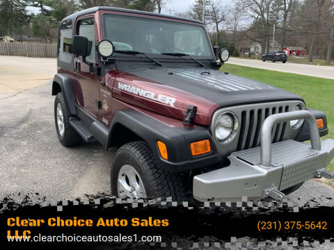 2001 Jeep Wrangler for sale at Clear Choice Auto Sales LLC in Twin Lake MI