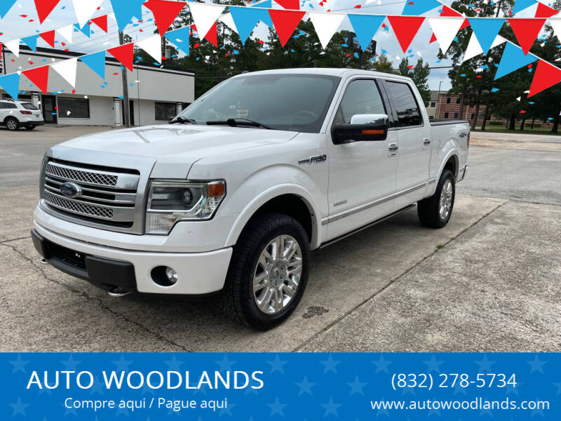 2014 Ford F-150 for sale at AUTO WOODLANDS in Magnolia TX