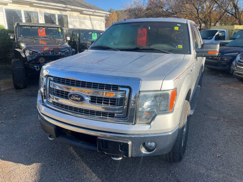 2013 Ford F-150 for sale at Auto Site Inc in Ravenna OH