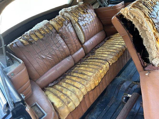 1954 Lincoln Capri