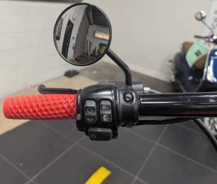 2019 Harley-Davidson Iron 883