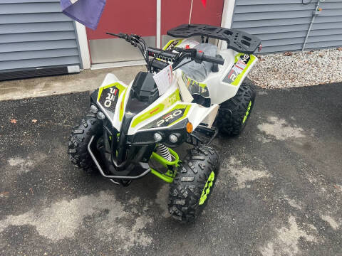 2021 Vitacci Pro Max 125