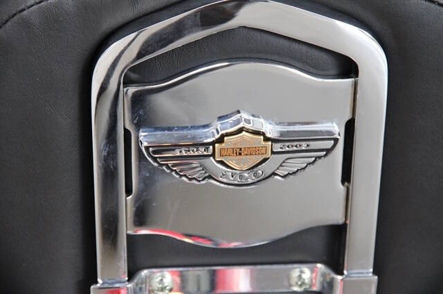 2003 Harley-Davidson SOFTAIL HE