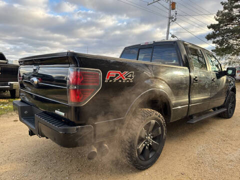 2014 Ford F-150 FX4