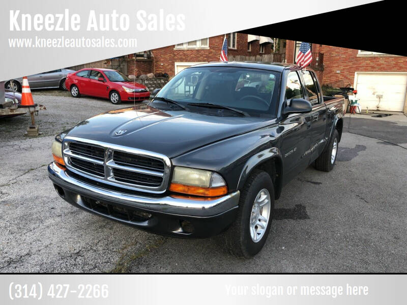 2002 Dodge Dakota for sale at Kneezle Auto Sales in Saint Louis MO