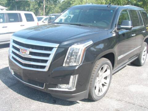 2016 Cadillac Escalade for sale at Autoworks in Mishawaka IN