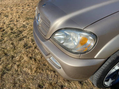 2002 Mercedes-Benz M-Class ML 320