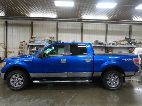 2012 Ford F-150 for sale at Alpha Auto - Mitchell in Mitchel SD