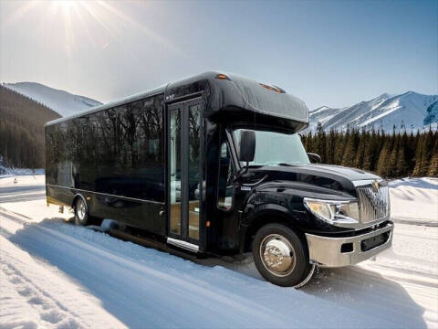 2014 IC Bus AC Series for sale at Global Motor Coach in Erie PA