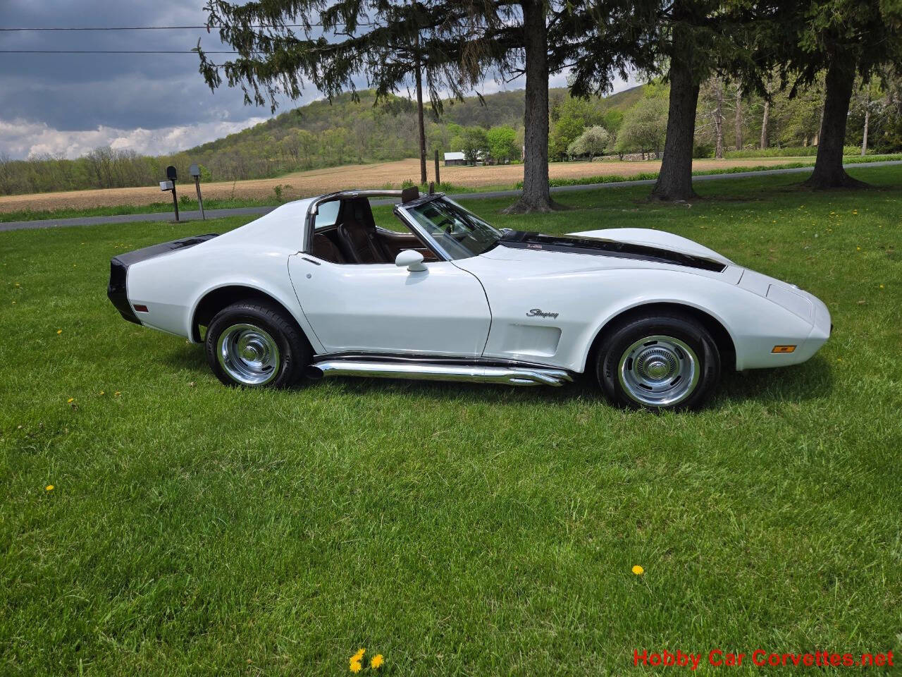 1976 Chevrolet Corvette 23