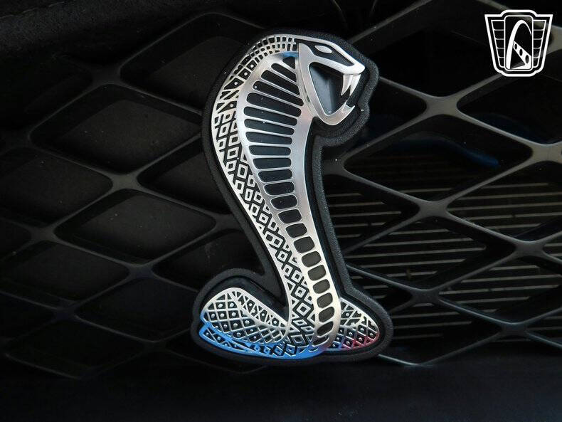 2010 Ford Shelby GT500