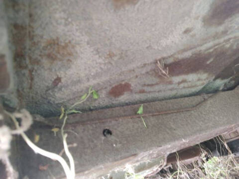 1959 Chrysler Windsor