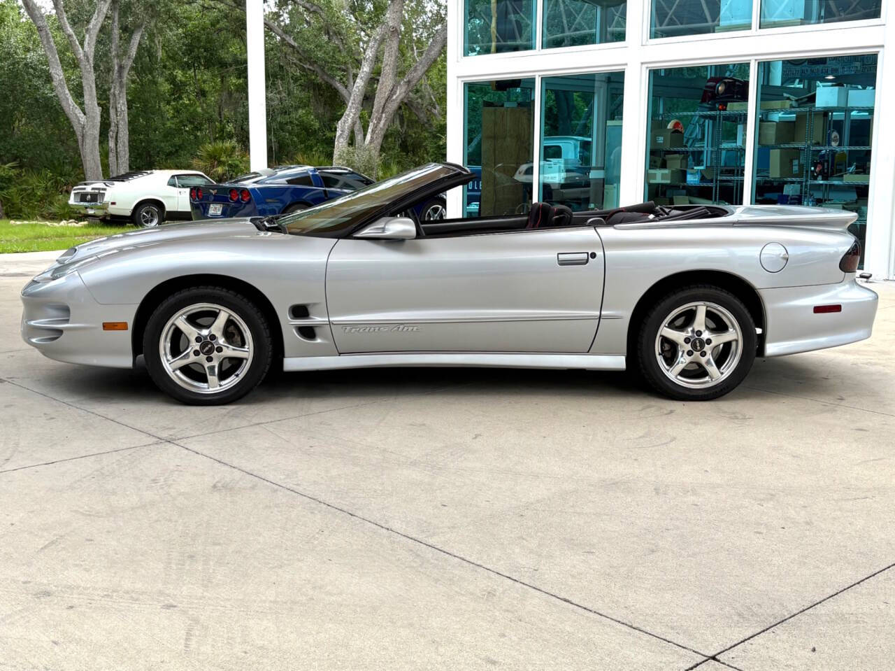 2000 Pontiac Firebird 11