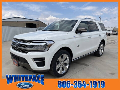 2023 Ford Expedition for sale at Whiteface Ford in Hereford TX