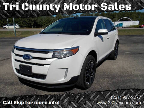 2014 Ford Edge for sale at Tri County Motor Sales in Howard City MI